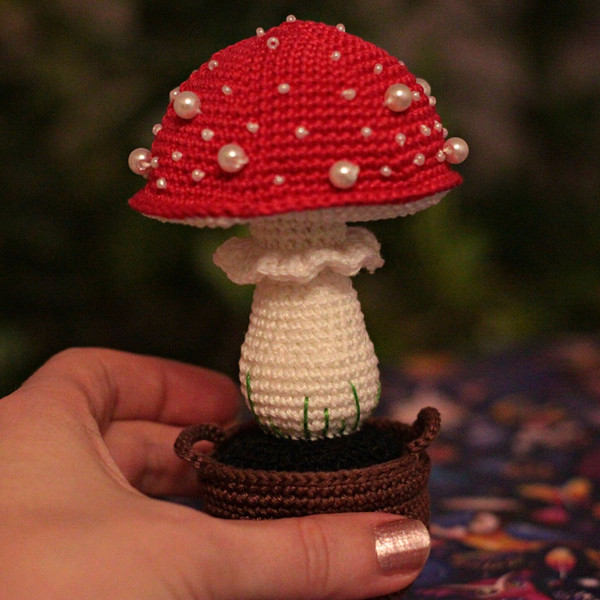 mushroom 04.jpg