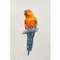parrotcrossstitchpattern.jpg