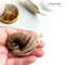 tiny snail brooch crochet pattern2.jpg