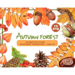 Watercolor autumn forest clipart - Autumn woodland PNG