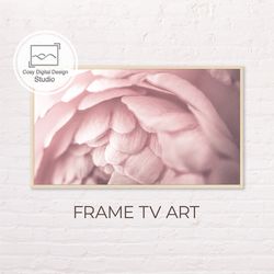 Samsung Frame TV Art | 4k Spring Pink Macro Flower Rose Art For The Frame TV | Digital Art Frame Tv | Floral Paintings