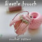 Beetle crochet pattern, amigurumi bug toy pattern, crochet DIY, crochet brooch tutorial, how to crochet bug guide 1.jpg