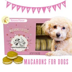banana dog macarons