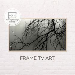 Samsung Frame TV Art | Moody Dark Gray Tree Branch After Rain Art For The Frame TV | Digital Art Frame TV | Halloween