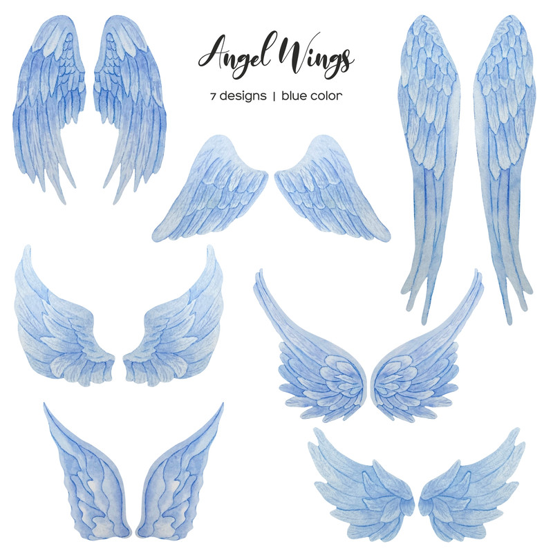 wing1.jpg