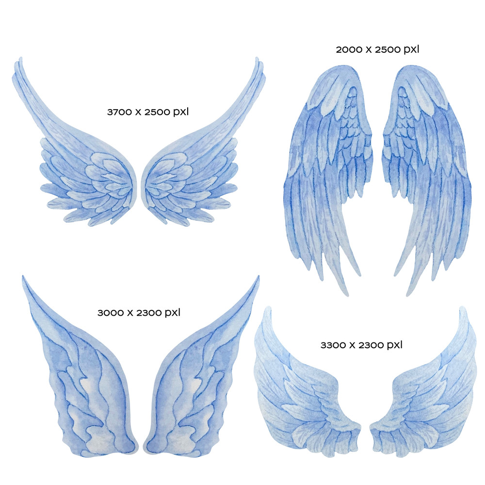 wing3.jpg