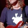 alvin lee guitar old stickers decal .jpg
