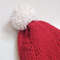 Santa hat pompom hat Christmas hat Christmas gifts women hat knitted hats For Christmas