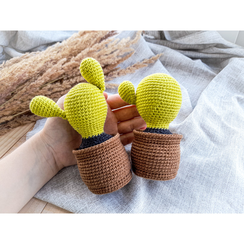 20210801_133424 (1).jpg