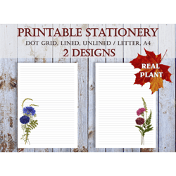 Cornflower Printable Stationery Set, Wildflower Letter Writing Paper, Flower Downloadable Writing Paper,
