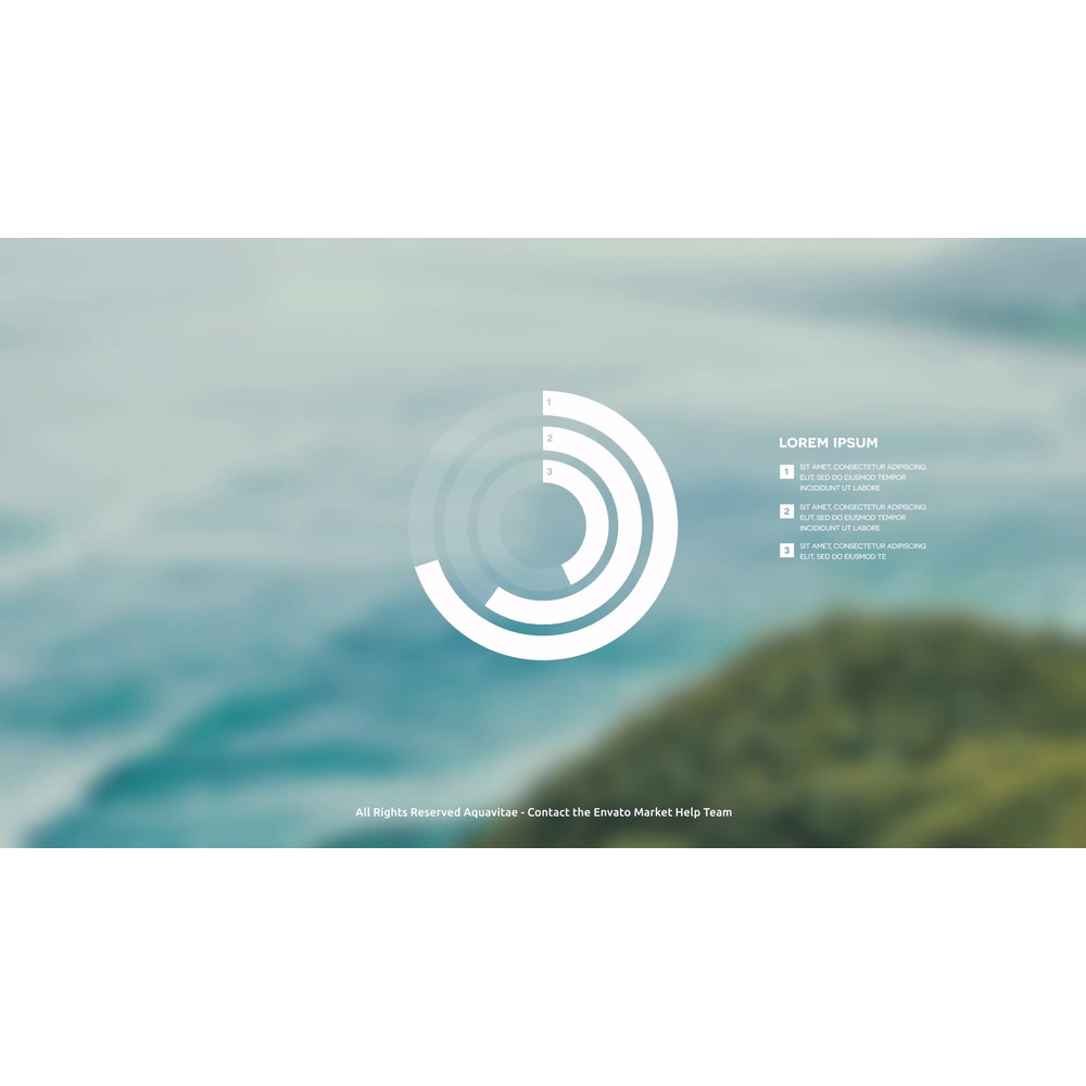 Simple Infographics. MOGRT for Premiere Pro (3).jpg