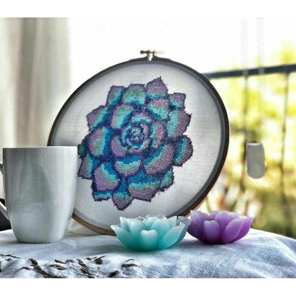 Без названия (2).png