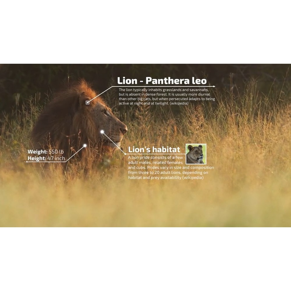 50 Call-Outs Pack for Final Cut Pro X (5).jpg