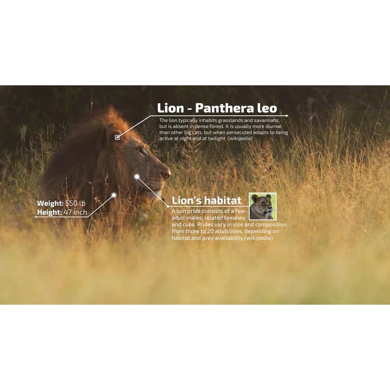 50 Call-Outs Pack for Final Cut Pro X (5).jpg