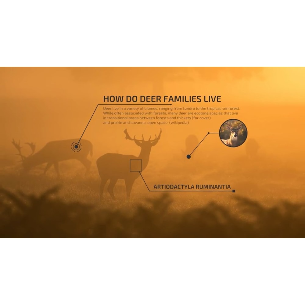 50 Call-Outs Pack for Final Cut Pro X (9).jpg