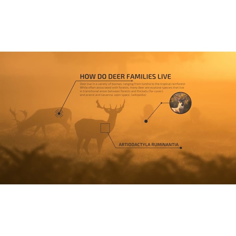 50 Call-Outs Pack for Final Cut Pro X (9).jpg