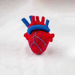 Anatomical human heart crocheted, Realistic heart Gift for a doctor, Gift idea for a medic, Valentine's Day gift idea
