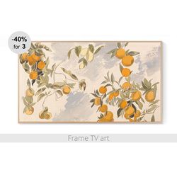 Samsung Frame TV Art digital download 4K, Frame TV art Vintage Citrus Botanical Art,  Frame TV art painting | 508