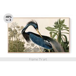 Frame TV Art Digital Download 4K, Samsung Frame TV Art Vintage painting birds, Frame TV art classic painting bird | 509