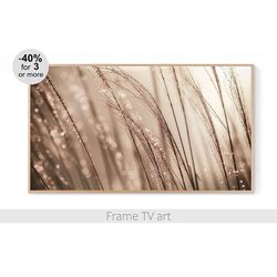 Frame TV Art Download, Samsung Frame TV art lanscape, Frame TV art summer photo, Frame TV art farmhouse | 531