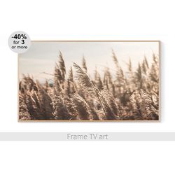 Frame TV Art Download, Samsung Frame TV art Pampas Grass, Frame TV art landscape photo, Frame TV art farmhouse | 532