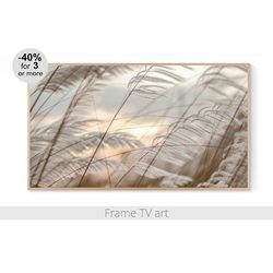 Frame TV Art Download, Samsung Frame TV art Pampas Grass, Frame TV art landscape photo, Frame TV art farmhouse | 534