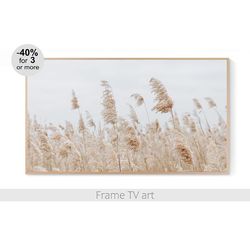 Frame TV Art Download, Samsung Frame TV art Pampas Grass, Frame TV art landscape photo, Frame TV art farmhouse | 535