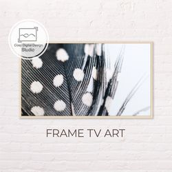 Samsung Frame TV Art | Abstract Macro Black And White Feather Art For The Frame Tv | Digital Art Frame Tv