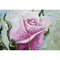 rose painting-rose painting-pink roses-oil painting on cardboard-3