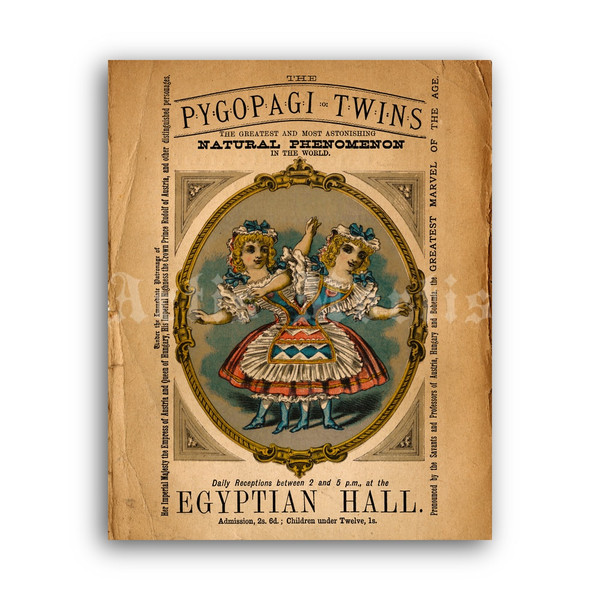 pygopagi_twins1880-print.jpg