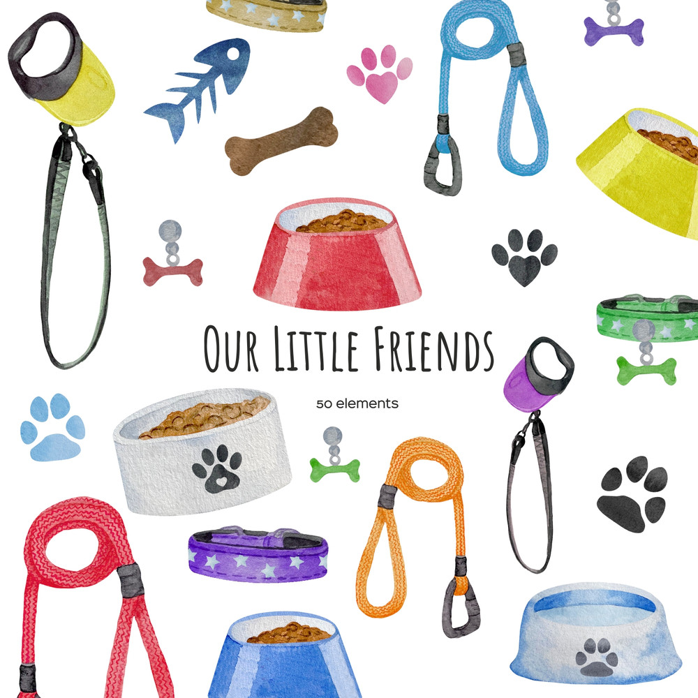 pet1.jpg