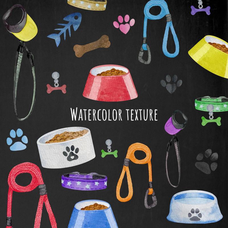 pet5.jpg