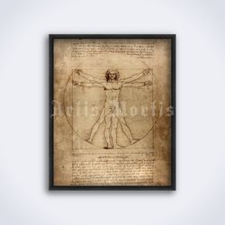 Vitruvian Man drawing manuscript by Leonardo Da Vinci printable art, print, poster (Digital Download)