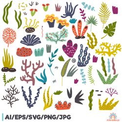 cartoon botanical seaweed coral reef clipart