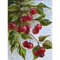 Fruits-red-tree-cherries-cherry-garden-green-landscape-leaves-nature-sky-IMG_6_2.jpg