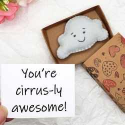 Cloud pocket hug in a box, You're cirrus-ly awesome, nice long distance girlfriend gift