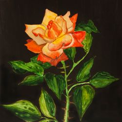 Yellow-red rose on black, original watercolor painting