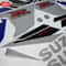 10.16.11.15.002-Suzuki-GSX-R-750-2004-2005 4.jpg