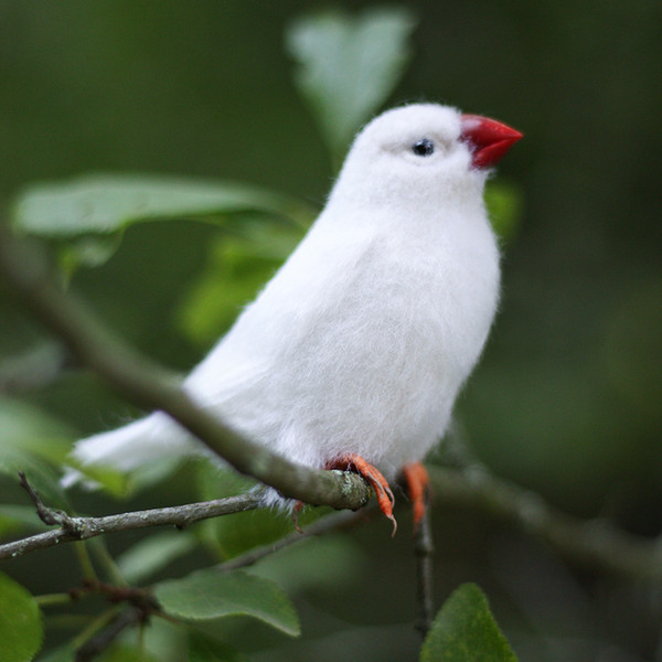 felted white finches1_.jpg