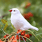 felted white finches_8.jpg