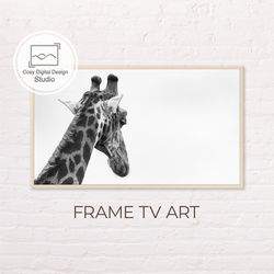 Samsung Frame TV Art | 4k Macro Black And White Giraffe Photo Art For The Frame Tv | Digital Art Frame Tv