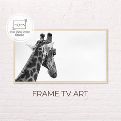 samsung frame tv art | 4k macro black and white giraffe photo art for the frame tv | digital art frame tv