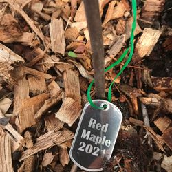 Tree Tags Custom Etched, custom plant tag, garden accessories, garden label, plant label, permaculture gift