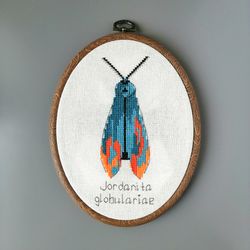 Moth Embroidery Wall Art, Insect Moth Art, Sewn Art Gifts, Finished Embroidery