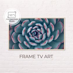 Samsung Frame TV Art | 4k Macro Blue Flower Art For The Frame Tv | Digital Art Frame Tv | Instant Download