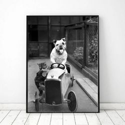 Dog and cat Vintage photo printable, Animal Vintage Photo Print, Black and White Photo