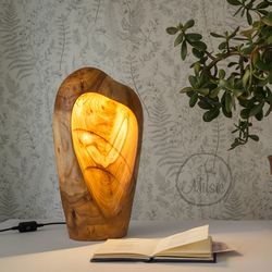 wood lamp. decorative light sculpture. unique desk lamp. bedside wooden lamp. modern accent lamp. farmhouse table lamp.