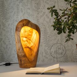 Wood lamp. Decorative light sculpture. Unique desk lamp. Bedside wooden lamp. Modern accent lamp. Farmhouse table lamp.