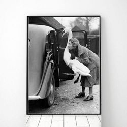 Vintage photo printable Woman with Swan, Vintage Female photo, Animal vintage print