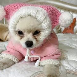 Fluffy dog hat for small dogs with two pompoms. Funny dog hat. Cute cat hat. Puppy hat warm.